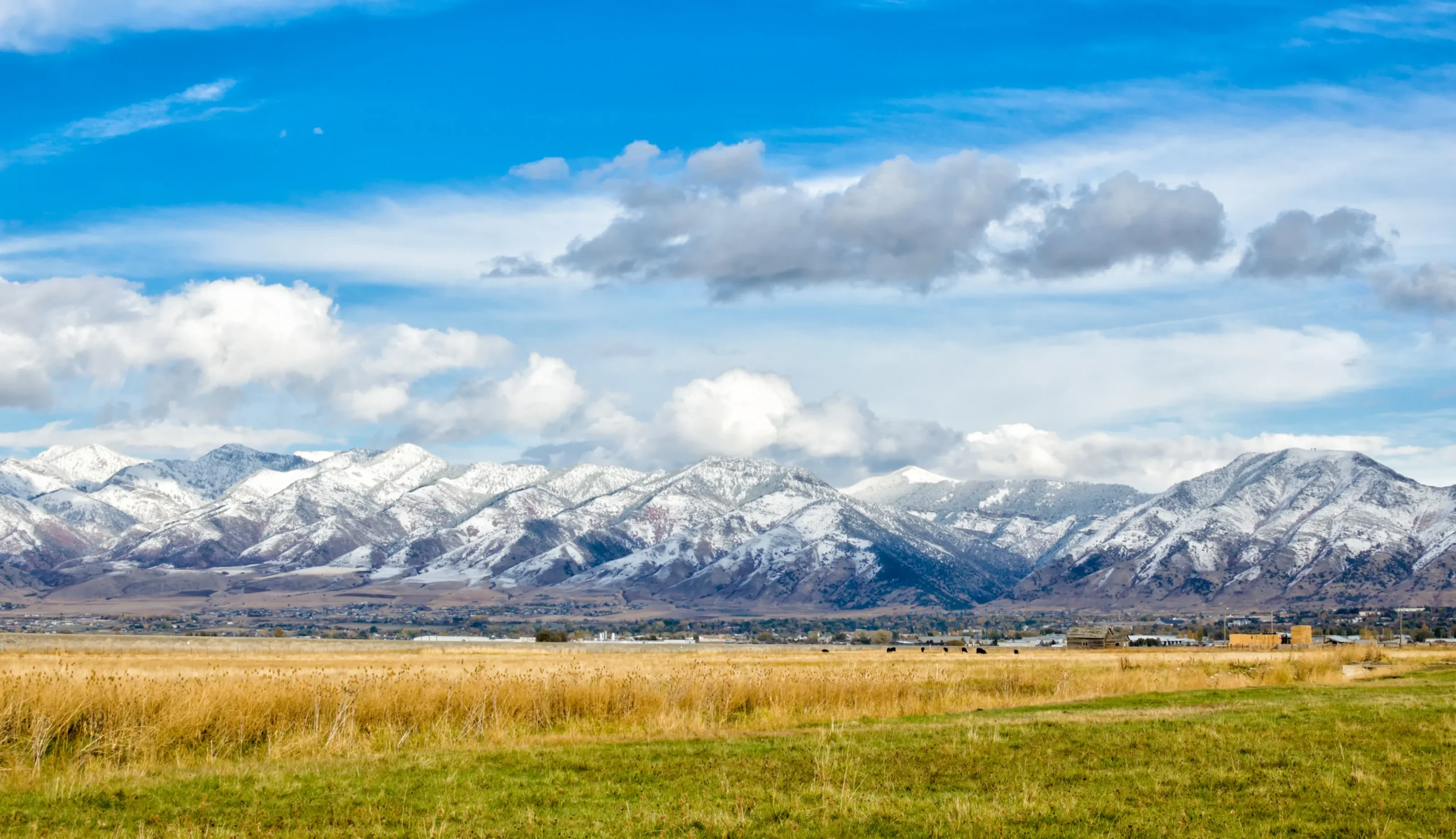 Snow-capped mountains under a blue sky with clouds, above a grassy field.